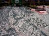 100_0204.jpg