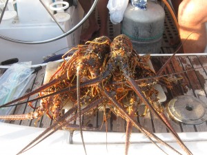 Xmas eve dinner on the Andiamo... 